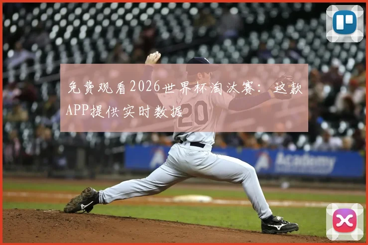 免费观看2026世界杯淘汰赛：这款APP提供实时数据